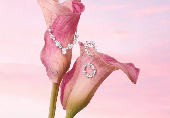 Stroili